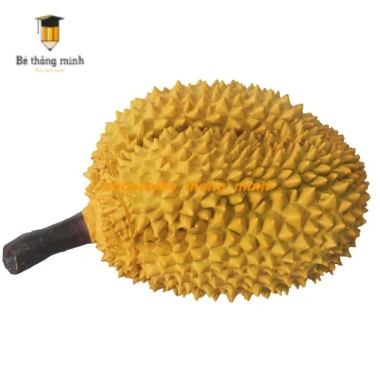 Quả sầu riêng giả thật - Trang trí tiệc, dạy trẻ học, giá ưu đãi 319.000đ 3 Quả sầu riêng giả thật - Trang trí tiệc, dạy trẻ học, giá ưu đãi 319.000đ 3