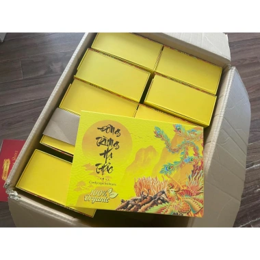 Quà set ba chính hãng: Rượu Đông Trùng Hạ Thảo chai XO + Đông Trùng + Táo Đỏ Viện Hàn Lâm – Giá ưu đãi 900.000₫