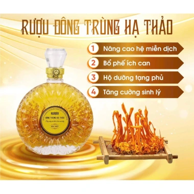 Quà set ba chính hãng: Rượu Đông Trùng Hạ Thảo chai XO + Đông Trùng + Táo Đỏ Viện Hàn Lâm – Giá ưu đãi 900.000₫