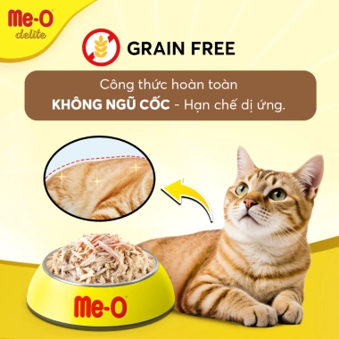 Quà Tặng Không Bán Pate Me‑O Delite 70gr – Cá thật, thịt thật, giảm còn 200k