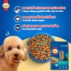 Quà Tặng Không Bán Set 2 Gói Thức ăn SmartHeart vị mới 100gr cho chó nhỏ và lớn 200.000đ 4