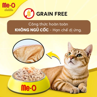 Quà Tặng Không Bán Thức ăn mèo Me-O Delite Pate cao cấp cá ngừ tôm 70gr - 200.000đ