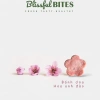 Quà Tặng Tết Xuân An Yên Hộp Bánh Dứa Blissful Bites Ít Ngọt Thơm Ngon 195k