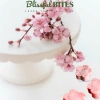 Quà Tặng Tết Xuân An Yên Hộp Bánh Dứa Blissful Bites Ít Ngọt Thơm Ngon 195k 2