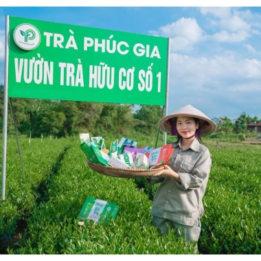 Quà Tặng Trà Cao Cấp Trà Biếu: Trà Xanh Đặc Sản Tân Cương Thái Nguyên 504k 5 Quà Tặng Trà Cao Cấp Trà Biếu: Trà Xanh Đặc Sản Tân Cương Thái Nguyên 504k 5