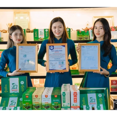 Quà Tặng Trà Cao Cấp Trà Biếu: Trà Xanh Đặc Sản Tân Cương Thái Nguyên 504k 8 Quà Tặng Trà Cao Cấp Trà Biếu: Trà Xanh Đặc Sản Tân Cương Thái Nguyên 504k 8