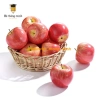 Quả táo đỏ giả - phụ kiện bày tiệc, chụp ảnh, dạy trẻ, trang trí nhà - 14.200₫