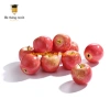 Quả táo đỏ giả - phụ kiện bày tiệc, chụp ảnh, dạy trẻ, trang trí nhà - 14.200₫ 7