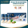 Quà Tết 2.026 Thùng 24 Lon Sữa Hạt Yến Sào NestWorld Macca và Hạt Sen Giá Ưu Đãi 1,728,000₫