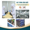 Quà Tết 2.026 Thùng 24 Lon Sữa Hạt Yến Sào NestWorld Macca và Hạt Sen Giá Ưu Đãi 1,728,000₫ 3