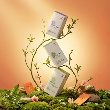 Quà Tết Hỷ Mã Đáo Gia - Trà Tâm Đạo TDG Tea 100% tự nhiên, ý nghĩa, chỉ 710.000đ 4