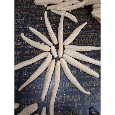 Quả xơ mướp size 50-60cm kb ecolife giảm giá 75.000đ, tươi ngon, dinh dưỡng 2 Quả xơ mướp size 50-60cm kb ecolife giảm giá 75.000đ, tươi ngon, dinh dưỡng 2