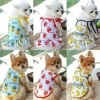 Quần áo chó mèo thoáng mát họa tiết trái cây, váy công chúa áo ba lỗ dễ thương cho poodle corgi chihuahua yorkie