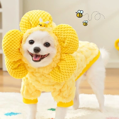 Quần áo mùa đông cho thú cưng Hoa Hướng Dương Plus - Nhung dày ấm áp, thoáng khí, dễ thương cho chó mèo - 368.650₫
