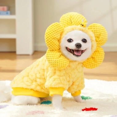 Quần áo mùa đông cho thú cưng Hoa Hướng Dương Plus - Nhung dày ấm áp, thoáng khí, dễ thương cho chó mèo - 368.650₫
