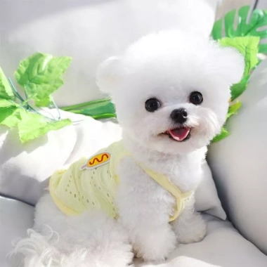 Quần Áo Thú Cưng Mỏng Thoáng Khí - Vest Lưới Sling cho Chó Bichon, Poodle - 93.084₫