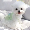 Quần Áo Thú Cưng Mỏng Thoáng Khí - Vest Lưới Sling cho Chó Bichon, Poodle - 93.084₫ 3