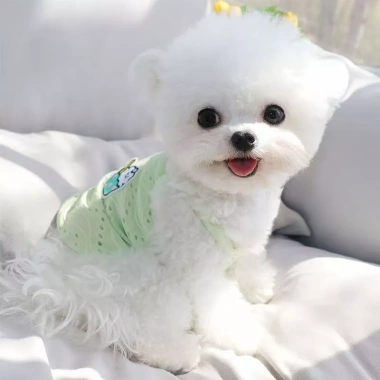 Quần Áo Thú Cưng Mỏng Thoáng Khí - Vest Lưới Sling cho Chó Bichon, Poodle - 93.084₫