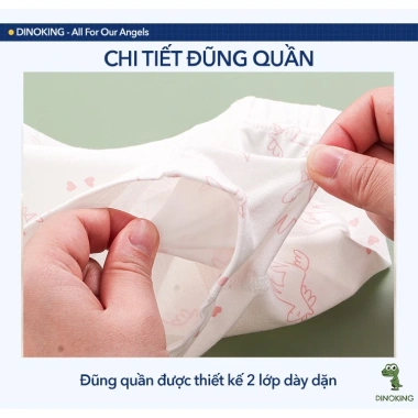 Quần chip bé gái DINOKING Combo 3 chiếc cotton cao cấp mềm bảo vệ vùng kín 165k 6