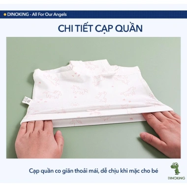 Quần chip bé gái DINOKING Combo 3 chiếc cotton cao cấp mềm bảo vệ vùng kín 165k 7