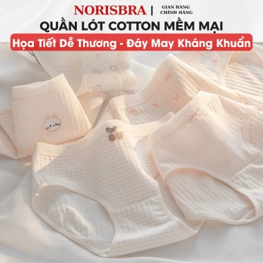 Quần Lót Cotton Mềm Mại Kháng Khuẩn Co Giãn Thoáng Khí Dễ Thương AMYBRA L566 Giá 36.000 VND