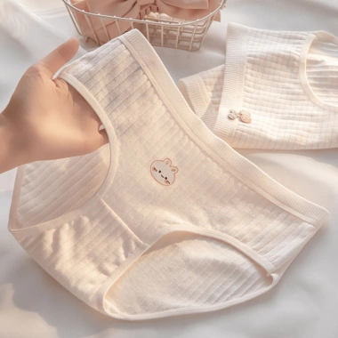 Quần Lót Cotton Mềm Mại Kháng Khuẩn Co Giãn Thoáng Khí Dễ Thương AMYBRA L566 Giá 36.000 VND 6