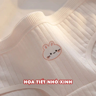 Quần Lót Cotton Mềm Mại Kháng Khuẩn Co Giãn Thoáng Khí Dễ Thương AMYBRA L566 Giá 36.000 VND 7