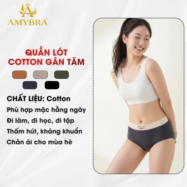 Quần Lót Nữ Cotton Cạp Chữ Cá Tính, Chip Vừa Đáy Kháng Khuẩn AMYBRA L1.226