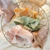 Quần lót nữ cotton co giãn chấm bi, kháng khuẩn, vòng 3 gợi cảm A114 - 12.000đ 3