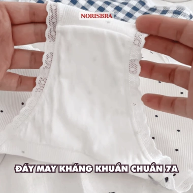 Quần Lót Nữ Cotton Gân Tăm Thoáng Khí Chip Cạp Vừa Đáy AMYBRA L2.509 Giá 42.000 9