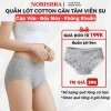 Quần Lót Nữ Cotton Gân Tăm Viền Su Mềm Mại, Chip Cạp Vừa Đáy Kháng Khuẩn AMYBRA L758 55k