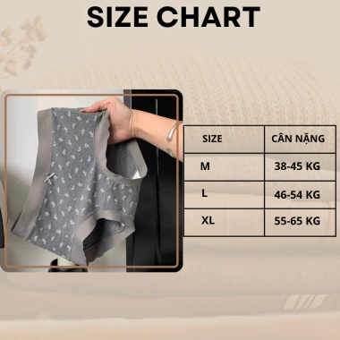 Quần Lót Nữ Cotton Gân Tăm Viền Su Mềm Mại, Chip Cạp Vừa Đáy Kháng Khuẩn AMYBRA L758 55k