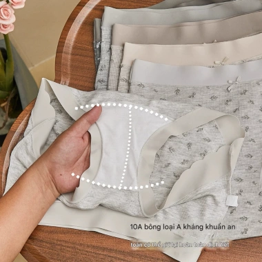 Quần Lót Nữ Cotton Gân Tăm Viền Su Mềm Mại, Chip Cạp Vừa Đáy Kháng Khuẩn AMYBRA L758 55k