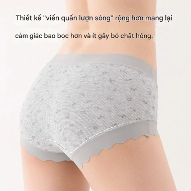 Quần Lót Nữ Cotton Gân Tăm Viền Su Mềm Mại, Chip Cạp Vừa Đáy Kháng Khuẩn AMYBRA L758 55k