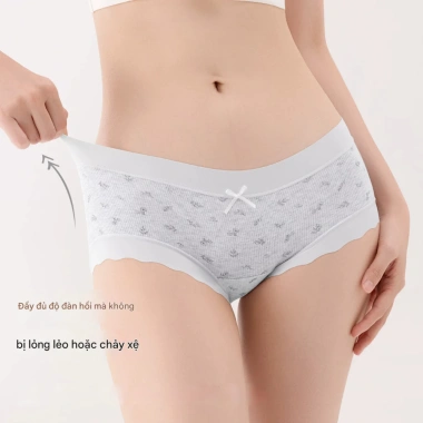 Quần Lót Nữ Cotton Gân Tăm Viền Su Mềm Mại, Chip Cạp Vừa Đáy Kháng Khuẩn AMYBRA L758 55k
