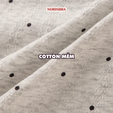 Quần Lót Nữ Cotton Kháng Khuẩn AMYBRA L1.172 Chip Cạp Vừa Viền Nhún Giá 42.000đ 7