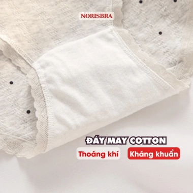 Quần Lót Nữ Cotton Kháng Khuẩn AMYBRA L1.172 Chip Cạp Vừa Viền Nhún Giá 42.000đ 9