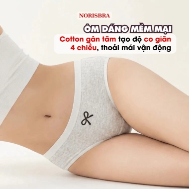 Quần Lót Nữ Cotton Kháng Khuẩn Thoáng Khí - Chip Cạp Vừa Đầy AMYBRA L1.108 2.026