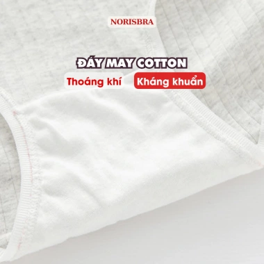 Quần Lót Nữ Cotton Kháng Khuẩn Thoáng Khí - Chip Cạp Vừa Đầy AMYBRA L1.108 2.026