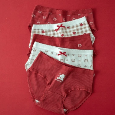 Quần Lót Nữ Cotton Mềm Gấu Đỏ May Mắn, Đáy Kháng Khuẩn AMYBRA LY20 – Giá 41.000 VND 3