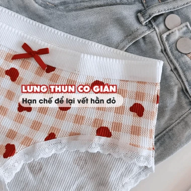 Quần Lót Nữ Cotton Mềm Gấu Đỏ May Mắn, Đáy Kháng Khuẩn AMYBRA LY20 – Giá 41.000 VND 7