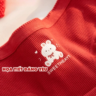 Quần Lót Nữ Cotton Mềm Gấu Đỏ May Mắn, Đáy Kháng Khuẩn AMYBRA LY20 – Giá 41.000 VND 8