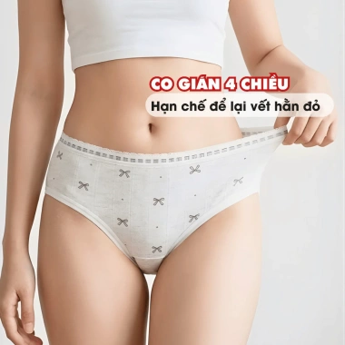 Quần Lót Nữ Cotton Mềm Họa Tiết Dễ Thương Chip Cạp Vừa Phối Ren Đáy AMYBRA L1.129 37k