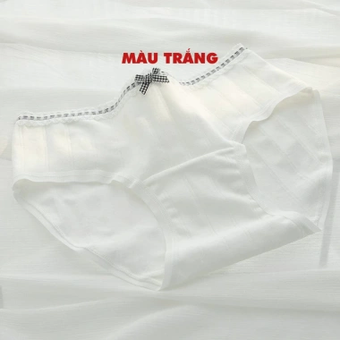 Quần Lót Nữ Cotton Mềm Họa Tiết Dễ Thương Chip Cạp Vừa Phối Ren Đáy AMYBRA L1.129 37k