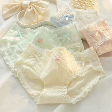 Quần Lót Nữ Cotton Mềm Họa Tiết Nổi, Chip Ren Viền Bèo AMYBRA L2.861 - 53.000₫