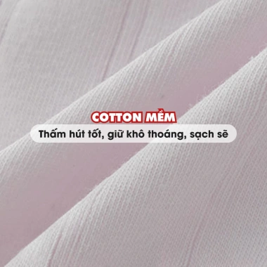 Quần Lót Nữ Cotton Mềm Họa Tiết Nữ Tính Chip Đáy May Kháng Khuẩn AMYBRA L1.133