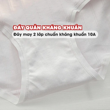 Quần Lót Nữ Cotton Mềm Họa Tiết Nữ Tính Chip Đáy May Kháng Khuẩn AMYBRA L1.133