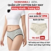 Quần Lót Nữ Cotton Mềm Mại Họa Tiết Gấu – Cạp Vừa Ôm Dáng, Chip AMYBRA L903 32.000