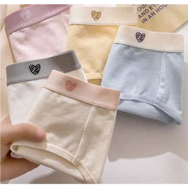 Quần Lót Nữ Cotton Mềm Mại Pastel Cạp Vừa Lưng Thun Co Giãn AMYBRA L183 Giá 40k