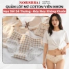 Quần Lót Nữ Cotton Mềm Mịn AMYBRA L120 Họa Tiết Gấu Đính Nơ Giá 35.000₫